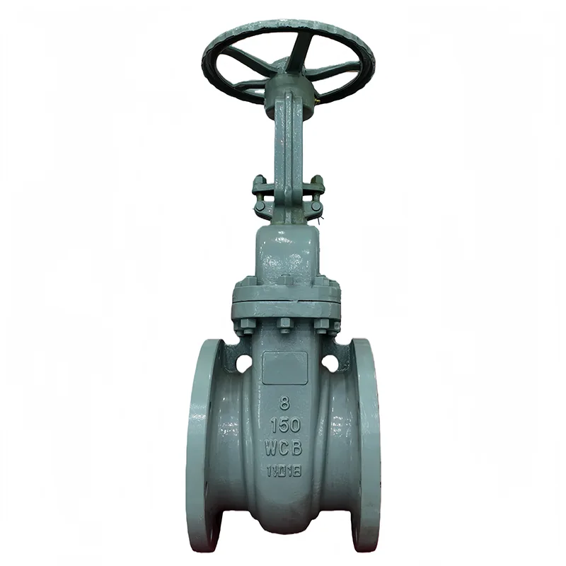 Karbon Steel ANSI Flange Gate klep