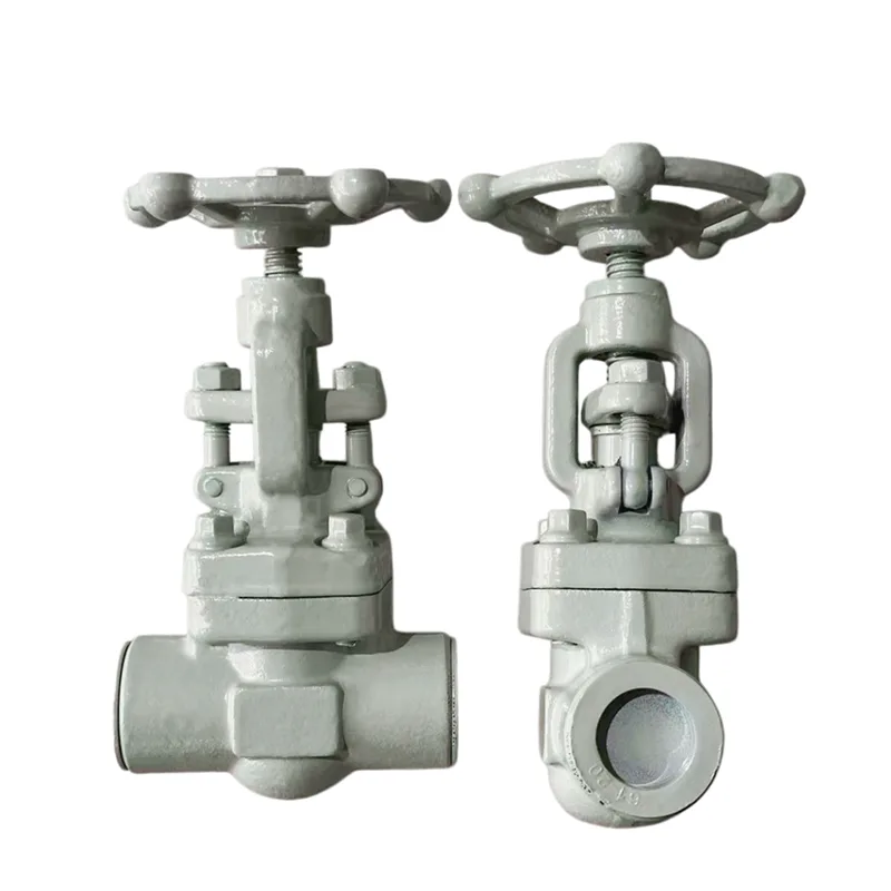 Socket-dilas ngajalin Gerbang klep