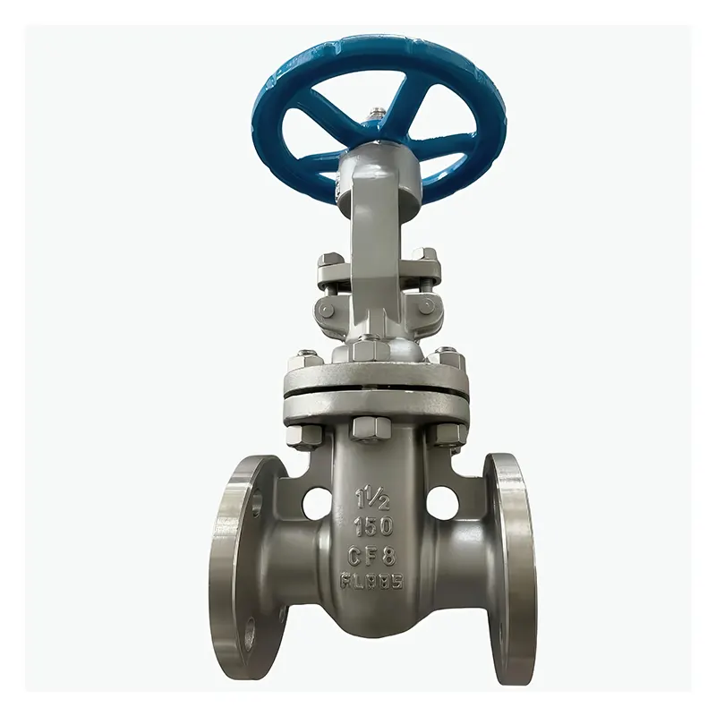 Stainless Steel 304 Flanged Gate klep