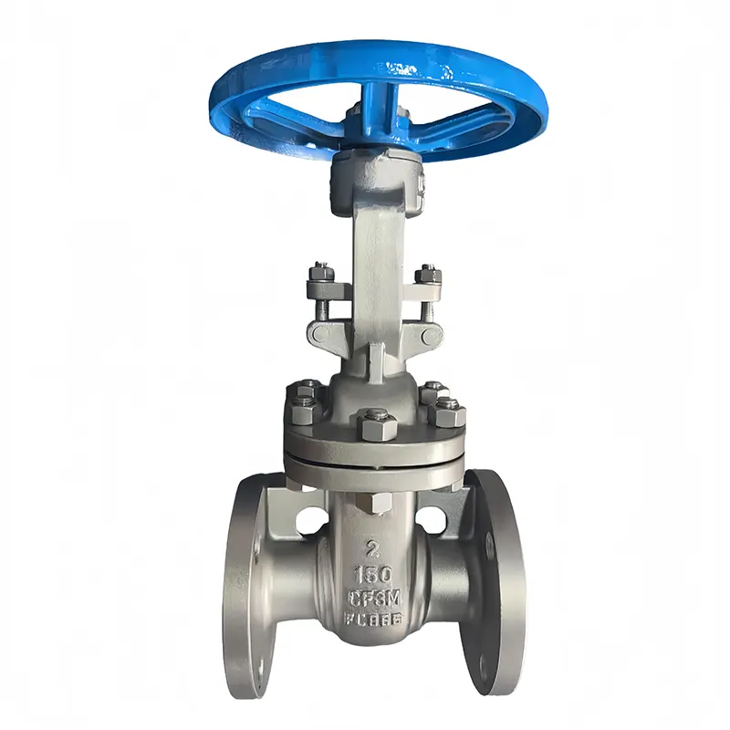 Stainless Steel 316L Flanged Gate klep