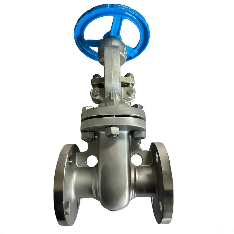 Stainless Steel API Flanged Gate klep