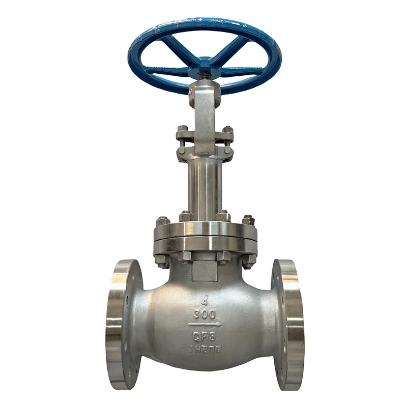 Stainless Steel Flange Globe klep