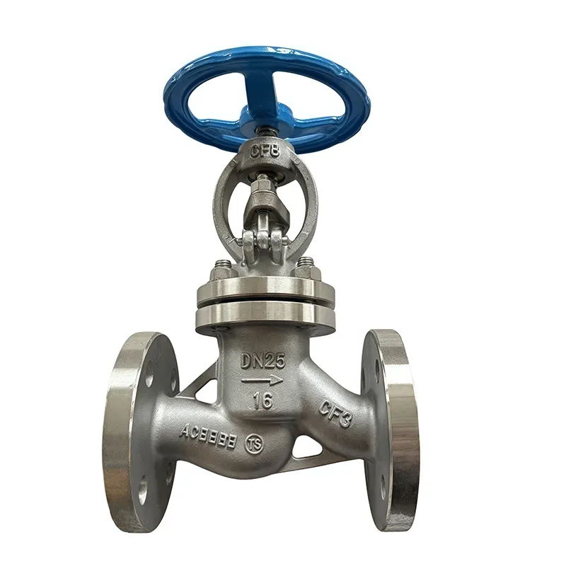 Stainless Steel Globe klep Flanged Tungtung